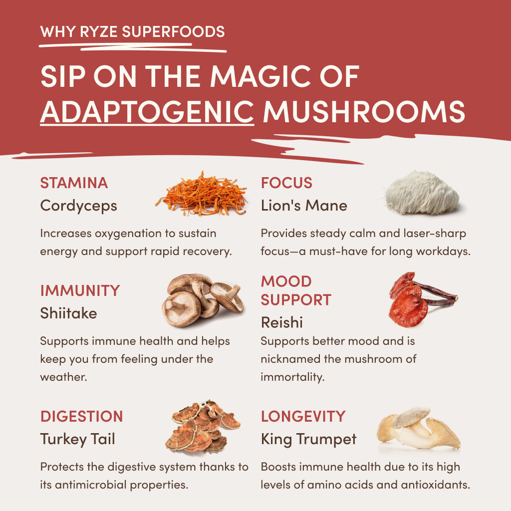 RYZE Mushroom Chai Starter Bag - 1H0K