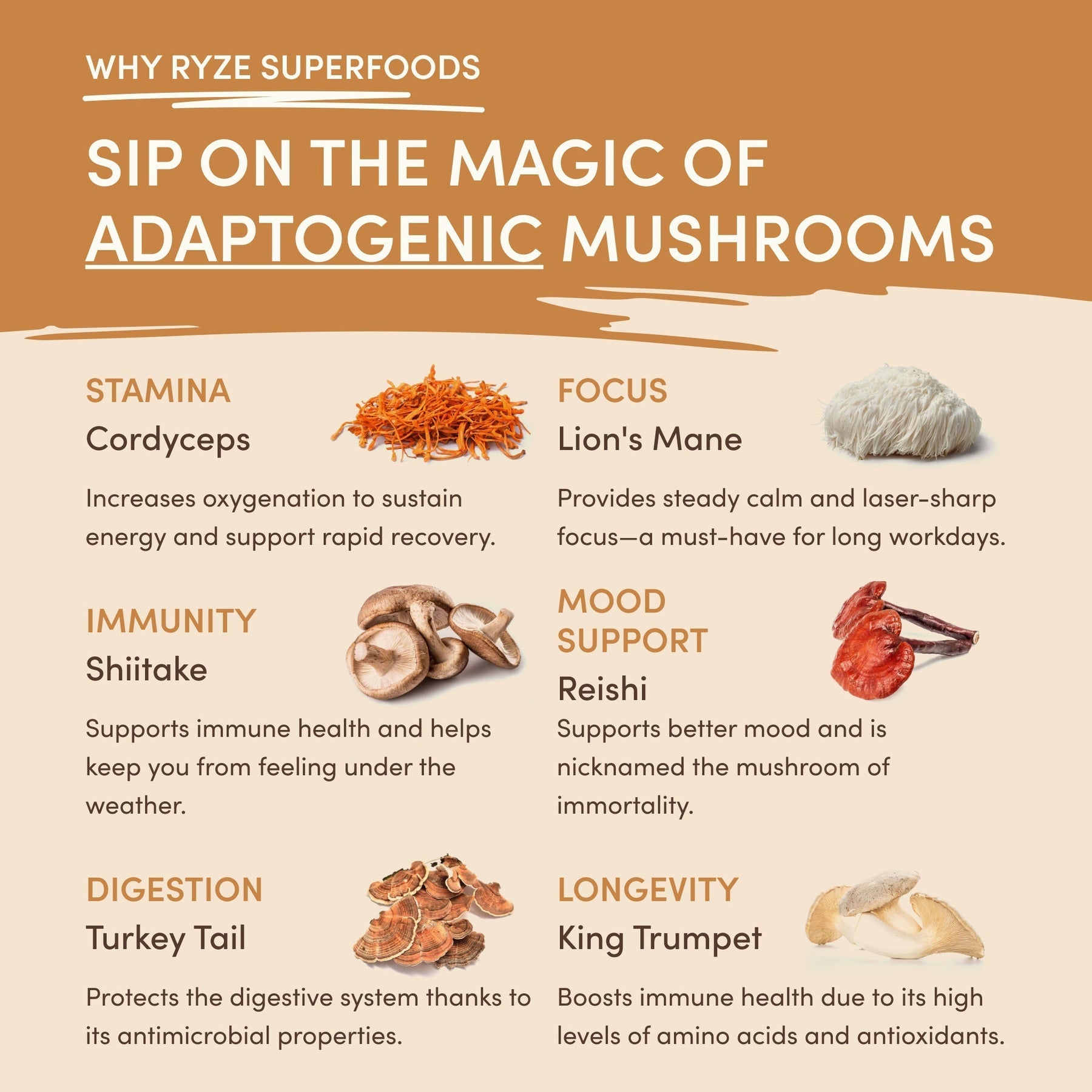 Mushroom Overnight Oats 14 Servings - OG6L