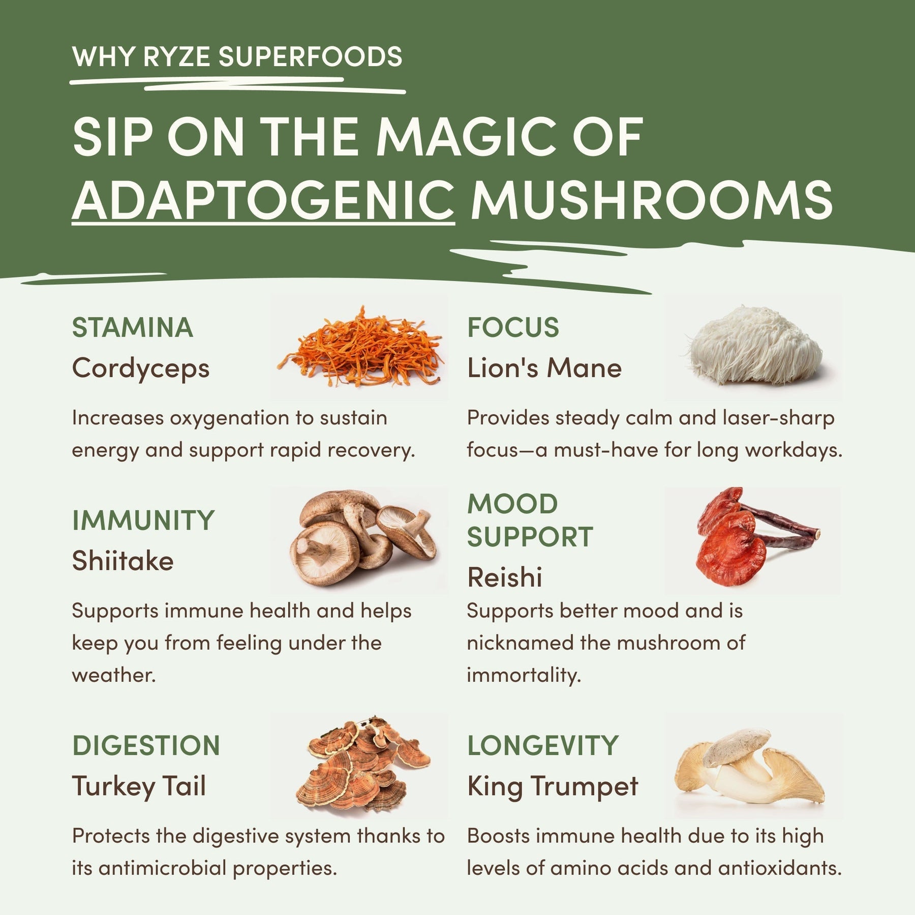 Mushroom Matcha (1 Pack - 30 Servings) - OLJU