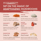 Mushroom Chai (1 Pack - 20 Servings) - 6Z7O