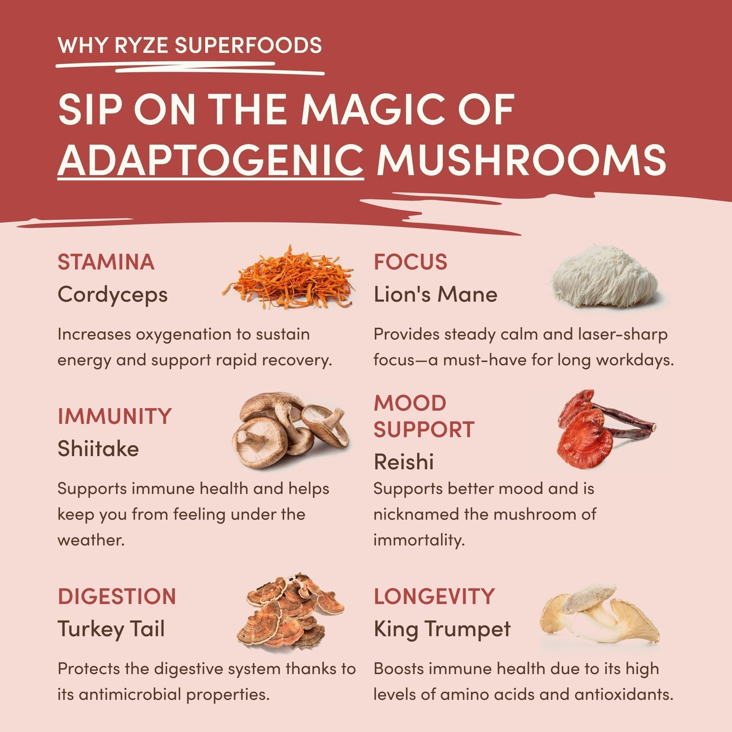 Mushroom Chai (1 Pack - 20 Servings) - 6Z7O