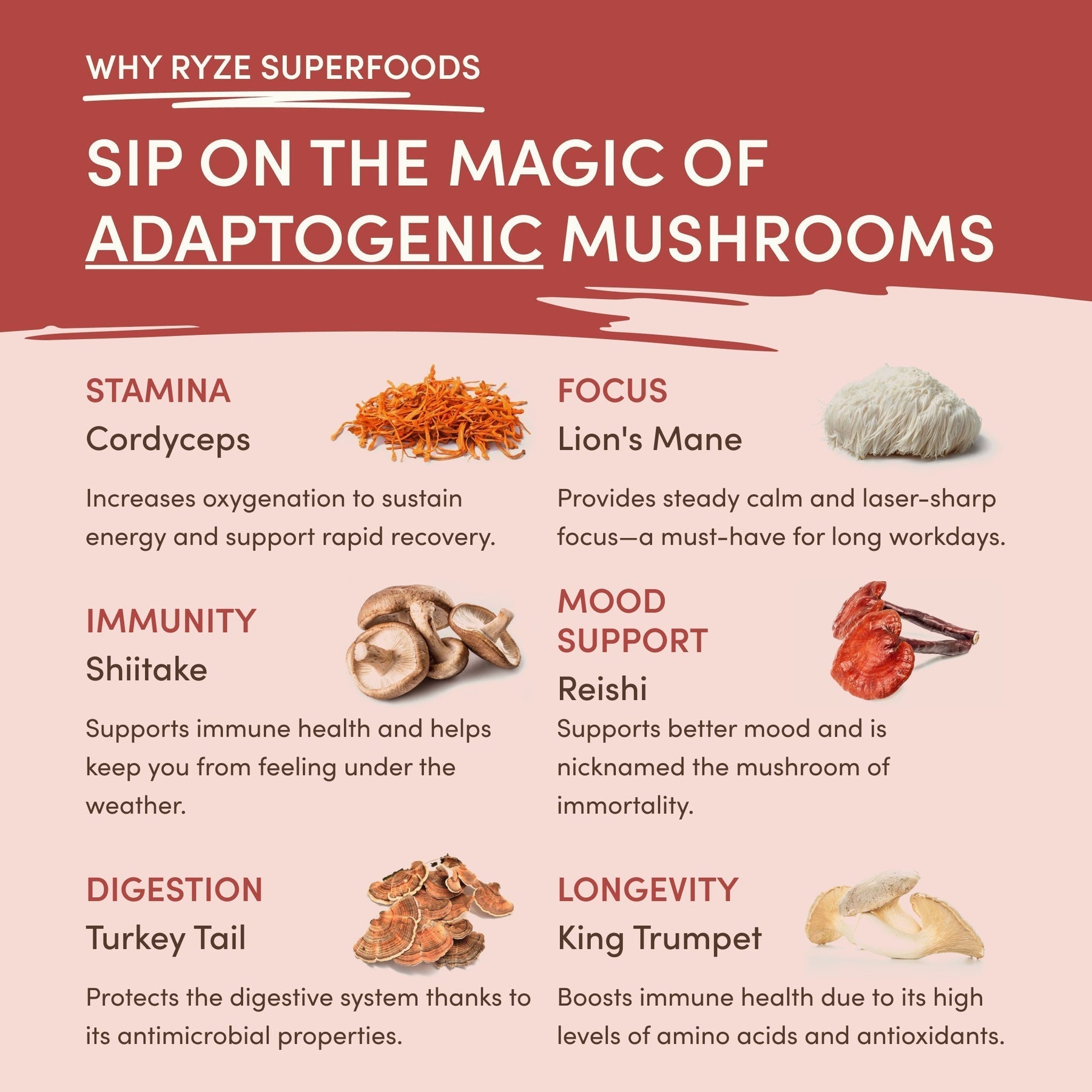 Mushroom Chai (1 Pack - 20 Servings) - 6Z7O