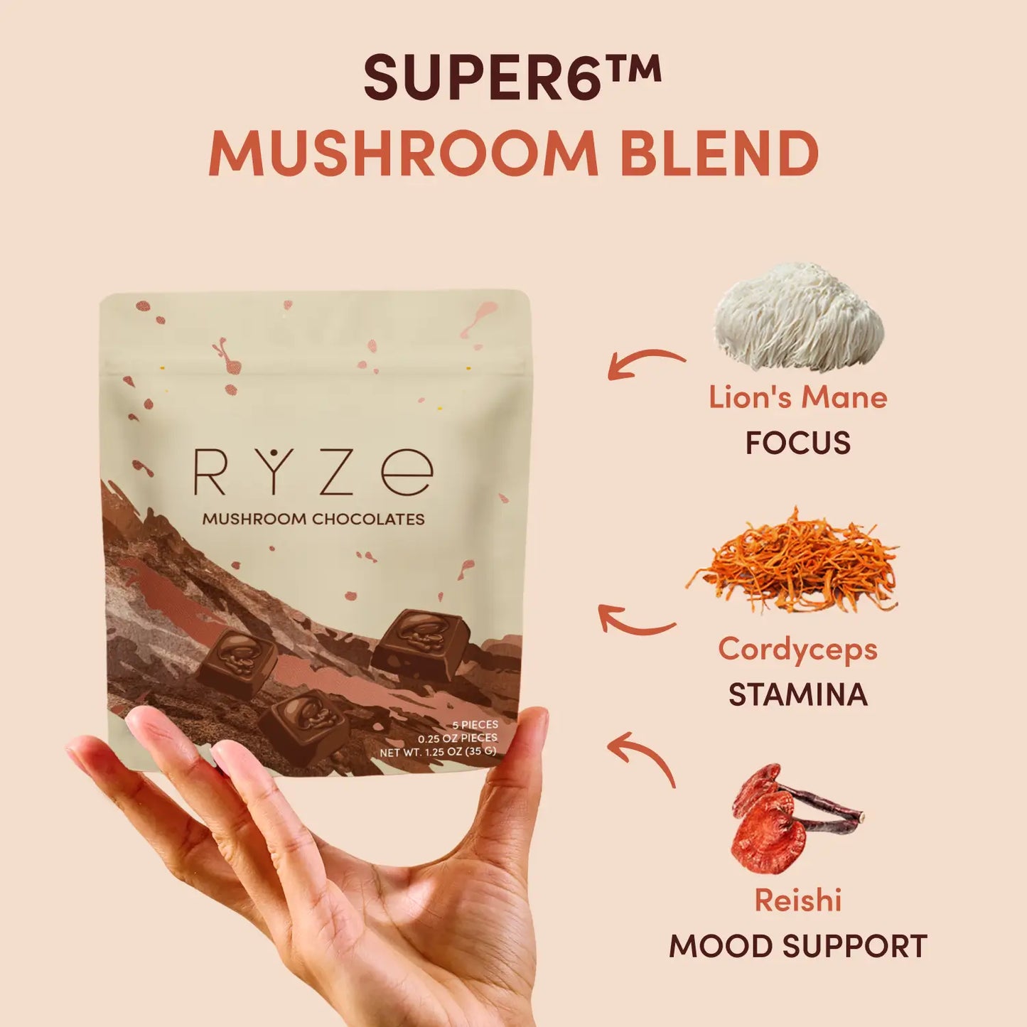 Mushroom Chocolates Rye (15 pieces) - J5TF