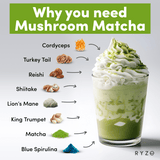 RYZE Mushroom Matcha - with 6 Organic Adaptogenic Mushrooms Grown In USA and Ceremonial-Grade Japanese Matcha - 8G5W