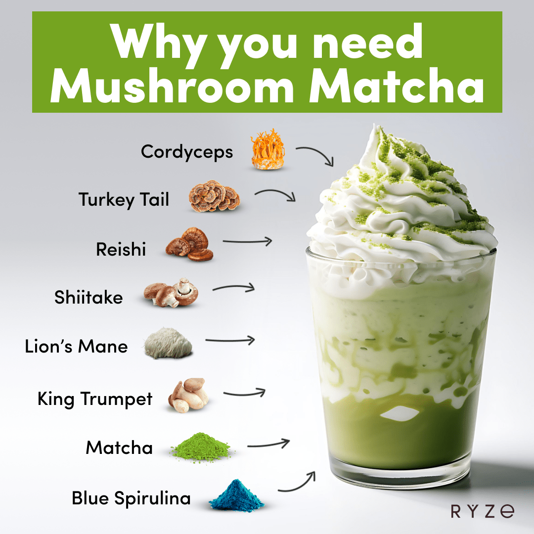 RYZE Mushroom Matcha - with 6 Organic Adaptogenic Mushrooms Grown In USA and Ceremonial-Grade Japanese Matcha - 8G5W